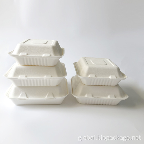 Bagasse Food Container Natural compostable tableware sugarcane clamshell Manufactory